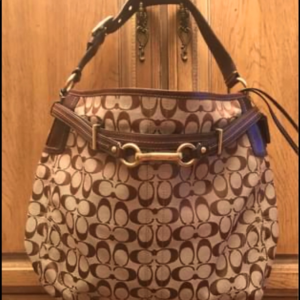 Beautiful coach bag in a new original color.